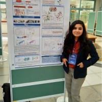 Sarita Aryal Ph.D