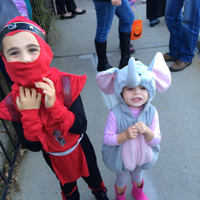 Matthew Downey, DMD Board Certified Pediatric Dentist