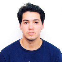 Vicente Reyes Abarca