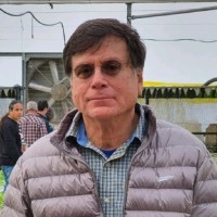 Oded Rottenberg