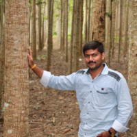 Rajeshkumar Palanivel
