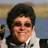 Jane Balin