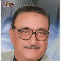 Alaa Eldin Sadaka