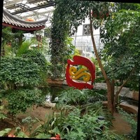 白国栋
