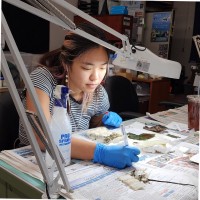 Mayuko Ikeda