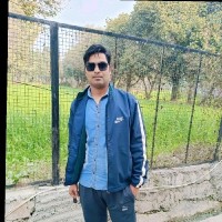 Ravi Parsa