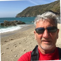 David Dalby MSc