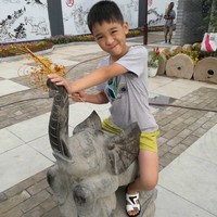 龙小飞