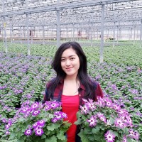 Marchia Putri Hindayu