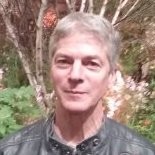 Dan Kelly