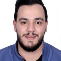 Assem Elshanat