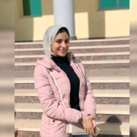 Rawan Tarek
