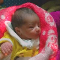Amr Mohamed