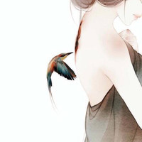 马星星