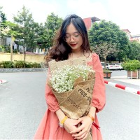 Anh Cao Dieu
