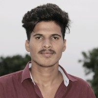 Ansar D