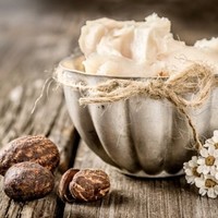 Wholesale Shea butter Cocoa butter