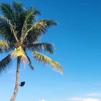 花满楼