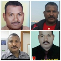 Elsadig Ali