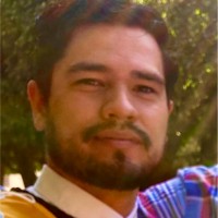 Nestor Ricardo Serratos Torres