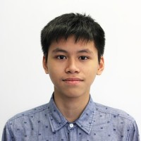 David Đào