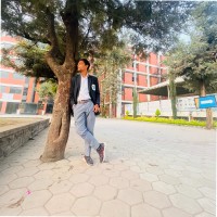 Hemant Lodhi