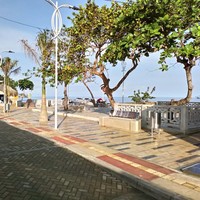 Camilo Perez vellojin