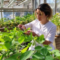 Sol Agostina Figueroa