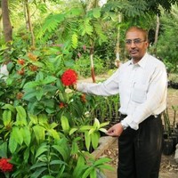 Dineshchandra Oza