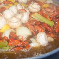 Backyard Bayou Company