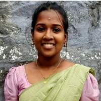 Vidhya V K