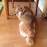 姜志永