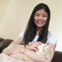 Lexin Li