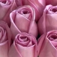 Louiza ARBANE EP CHAKER