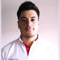 Julian Araneda haure