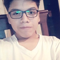 Luis Fernando Burga Since