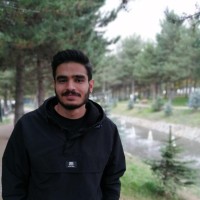 Berke Kesat