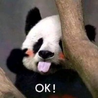 欧小阳