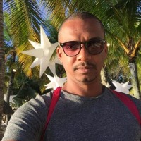 Vincent nicholas Herisson