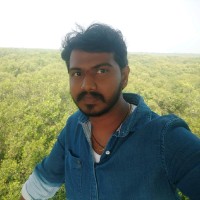 Manikanteswar Dommeti