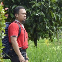 Romy` Asdi Guci