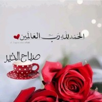 Shah Noor