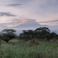 allan odhiambo