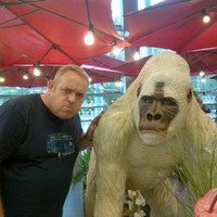 Andy Reid