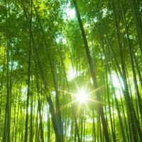 刘树立