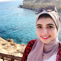 Shireen El-Saied Omar