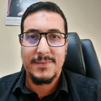 Rachid Harroucha, Phd, Eng