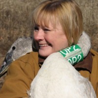 Karen Rowe, Cwb