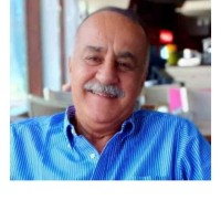 Hany Saleh