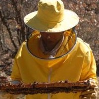 Pedro García Pellitero